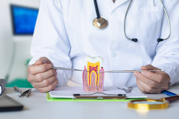 Tooth Infection Emergency Dentist in NE